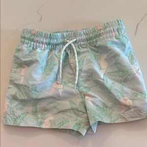 Tropical Print boys Shorts Beaufort bonnet